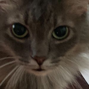 Meet your Posher, Andres